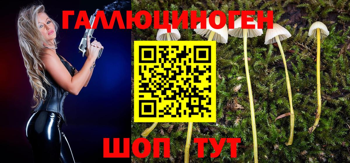 Тулун  Псилоцибиновые грибы Magic Shrooms  Вход с VPN 